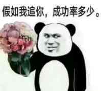 《抖音》假如我追你，成功率会有多少表情包大全