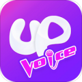Up好声音
