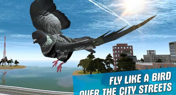 城市之鸽模拟3D