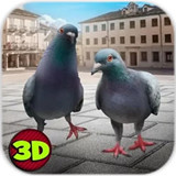 城市之鸽模拟3D