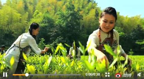 专题片《中国粮的奇迹》生动解密中国人从吃不饱到吃得好的天问