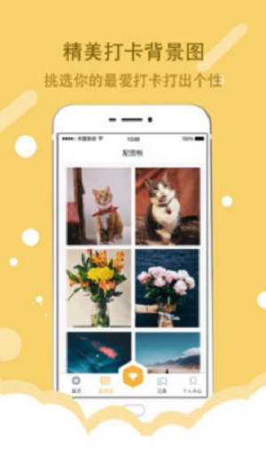 椒盐直综截图