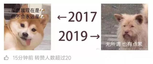 除了你的发际线，2017-2019还有这些变化