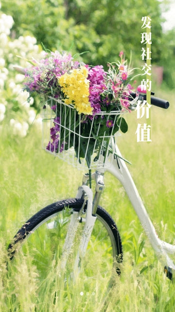 金聊截图