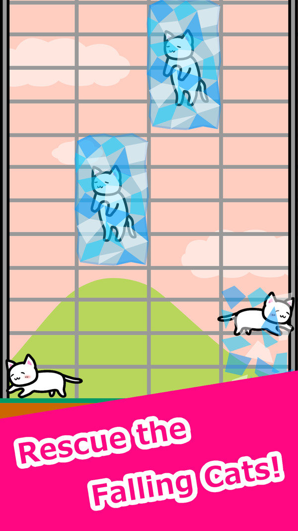 有猫生活截图