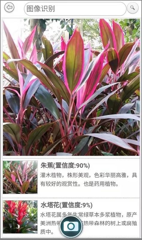 植物拍照识别截图