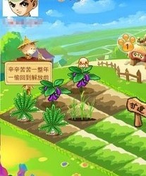 91农场