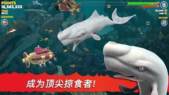 饥饿鲨进化大王乌贼
