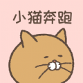 CatRun