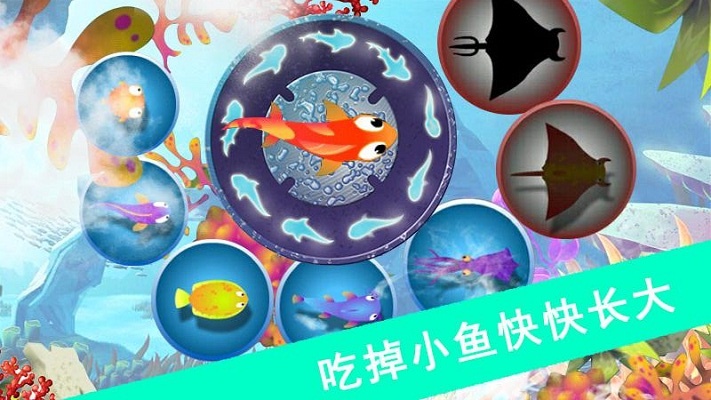 鲨鱼风暴
