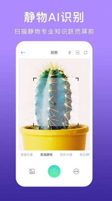 美术拍APP