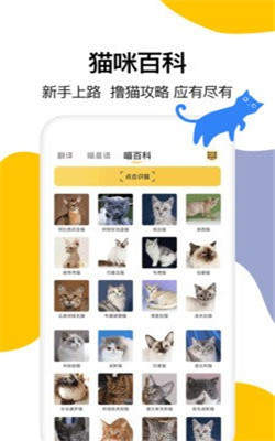 猫语翻译大全截图