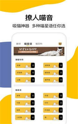 猫语翻译大全截图