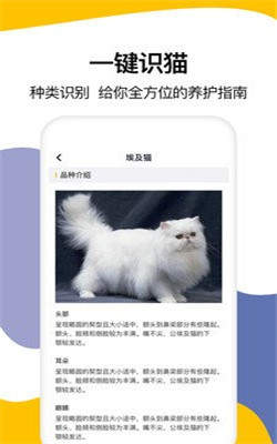 猫语翻译大全截图