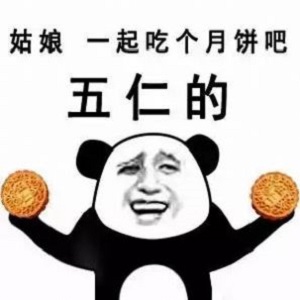 十五的月亮十六元图片