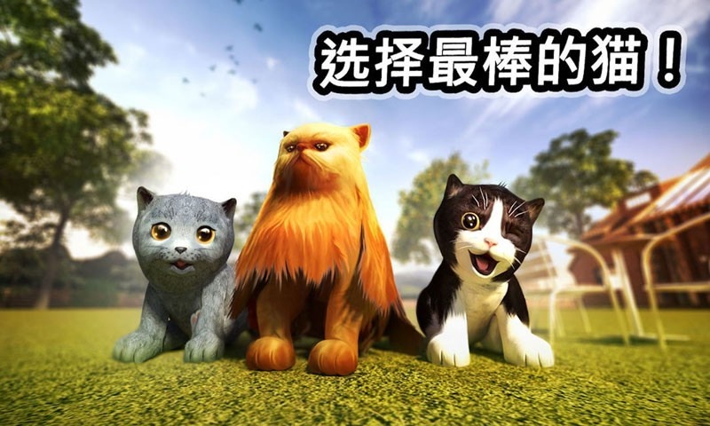 小猫历险记