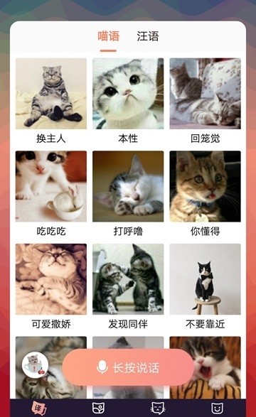 猫语互译截图