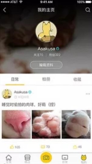 云养猫截图