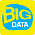 Bigdata英语单词