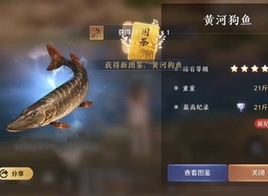 天涯明月刀手游鱼王分布图 天涯明月刀手游鱼王在哪里