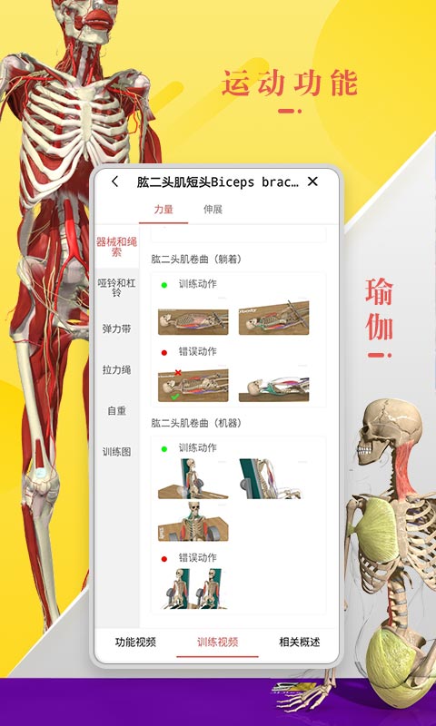 3dbody人体解剖学