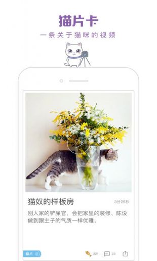 猫咪社区APP