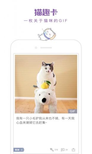 猫咪社区APP