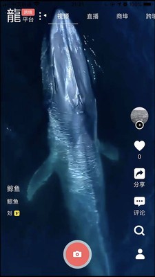 龙平台影视截图