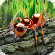 蚂蚁生命战争生存模拟器