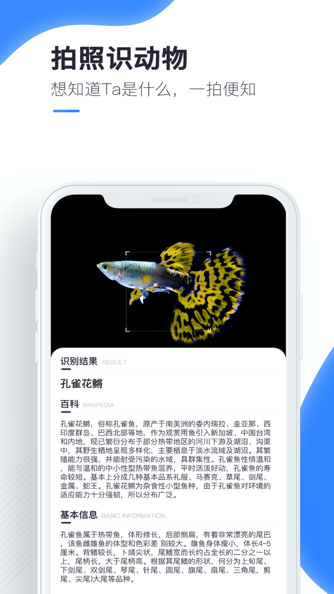 百科扫描王截图