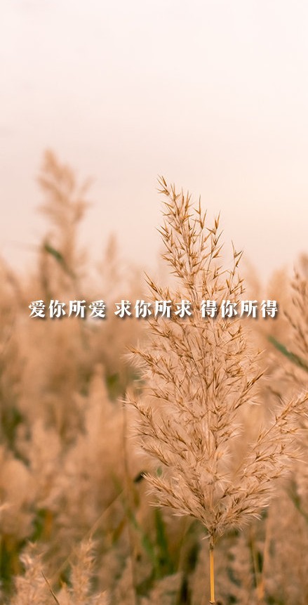 2020年12月31日朋友圈跨年文案