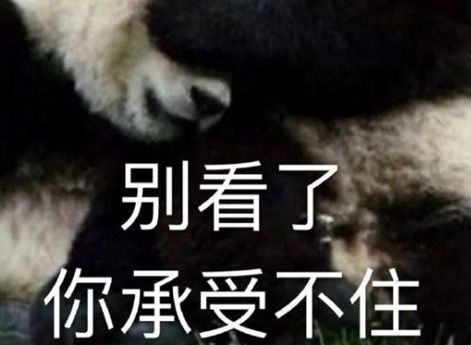 笋都被你夺完了梗什么意思 笋都被你夺完了梗出自介绍