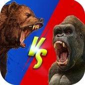 狂野猩vs狂野熊