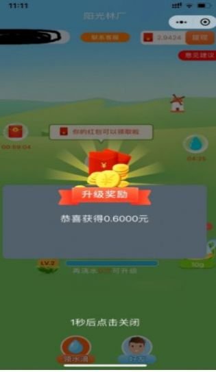 我的林场