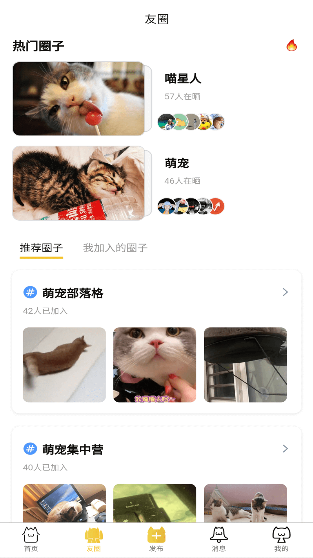 友猫社区