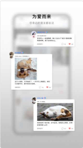 小它app截图
