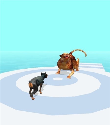宠物赛跑3D