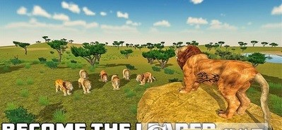 狮子丛林狩猎