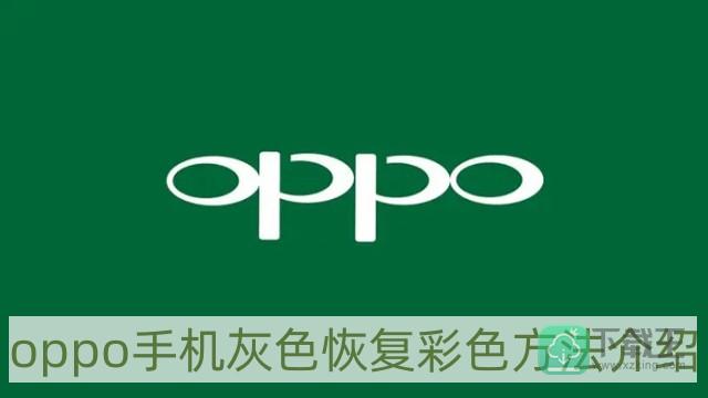 oppo手机灰色怎样改回彩色-oppo手机灰色恢复彩色方法介绍