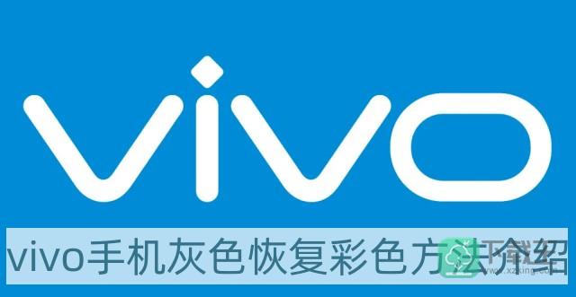 vivo手机灰色怎样改回彩色-vivo手机灰色恢复彩色方法介绍