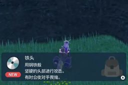 宝可梦朱紫铁头技能在哪-宝可梦朱紫铁头技能位置介绍