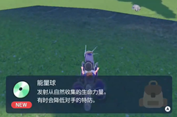 宝可梦朱紫能量球技能在哪-宝可梦朱紫能量球技能位置介绍