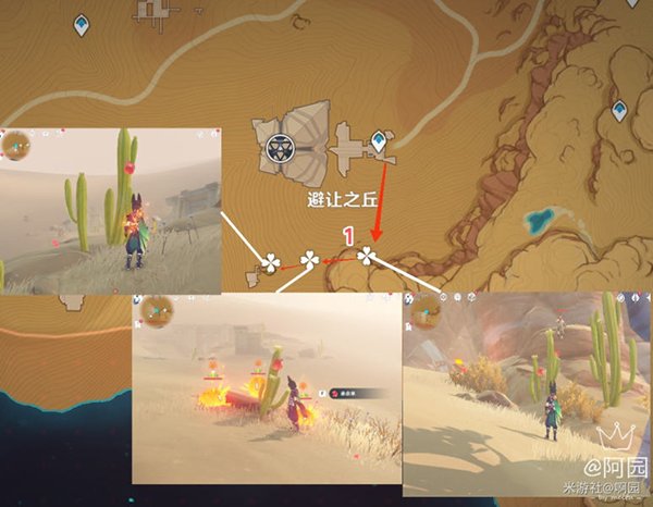 《原神》赤念果采集路线