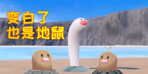 宝可梦朱紫海地鼠种族值一览