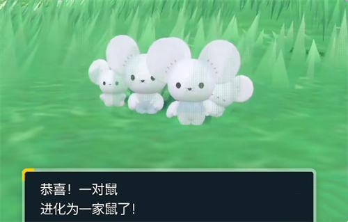 宝可梦朱紫一家鼠怎样进化-宝可梦朱紫一家鼠进化攻略
