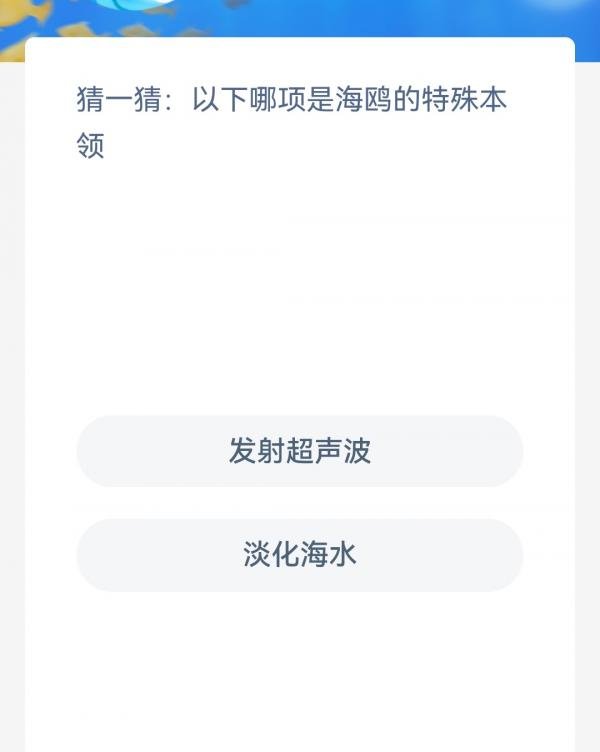 猜一猜以下哪项是海鸥的特殊本领-神奇海洋12.30今日科普问答答案
