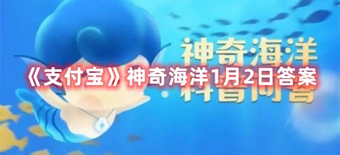 《支付宝》神奇海洋1月2日答案