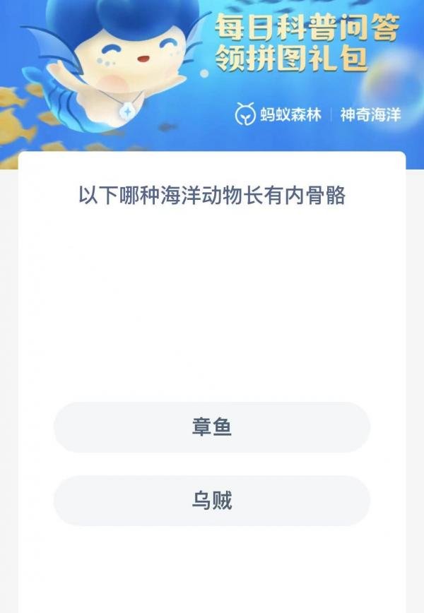 以下哪种海洋动物长有内骨骼-神奇海洋1.8今日科普问答答案