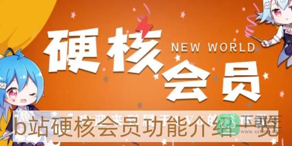 B站硬核会员有什么用-硬核会员功能介绍一览