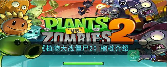 植物大战僵尸2榴梿怎样样-植物大战僵尸2榴梿介绍
